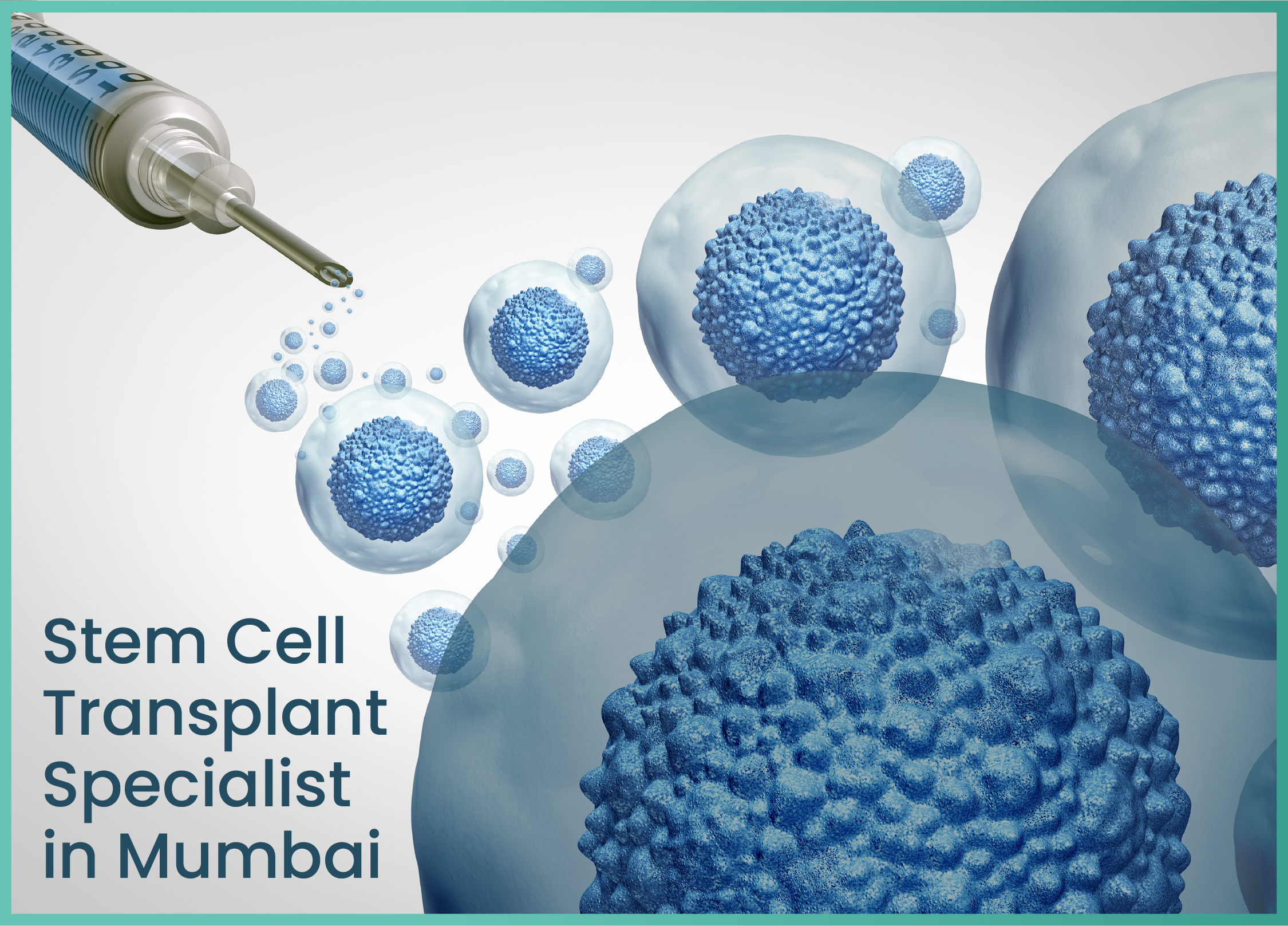 stem-cell-transplant-specialist-in-mumbai