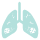 Lung Cancer Icon