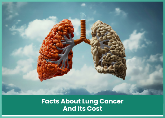 BoneMarrowTransplantExplained